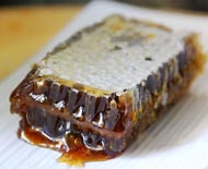planal de abeja para comer